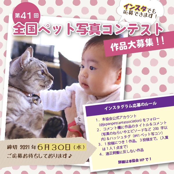 第４１回 ペット写真コンテスト 作品募集 本年度の募集は終了しました 公益社団法人日本愛玩動物協会 動物の愛護及び適正な飼養管理に関する知識等の普及啓発活動