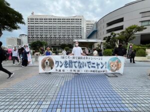 令和6年度沖縄県捨て犬捨て猫防止キャンペーン