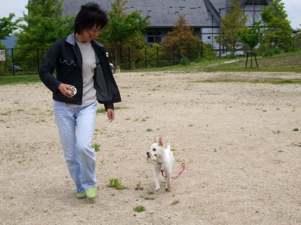 住所 呉市 名前 ｔ ｔ 様 動物愛護センター名 呉市動物愛護センター 譲渡年月 ２００９年２月 質問1 動物愛護センターから動物をもらおうと思ったきっかけは何ですか 犬を飼いたいと思ってから インターネットで調べていく内に 保健所で譲渡